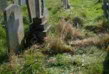 James Morgan's Grave. Headstone and overgrown plot.