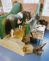 A full-sized model horse in its stable